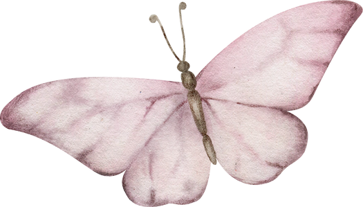 Hand Drawn Vintage Pink Butterfly. Watercolor Illustration